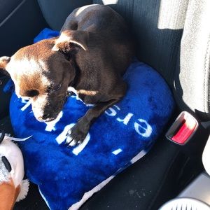 Meet your Posher, Dulce